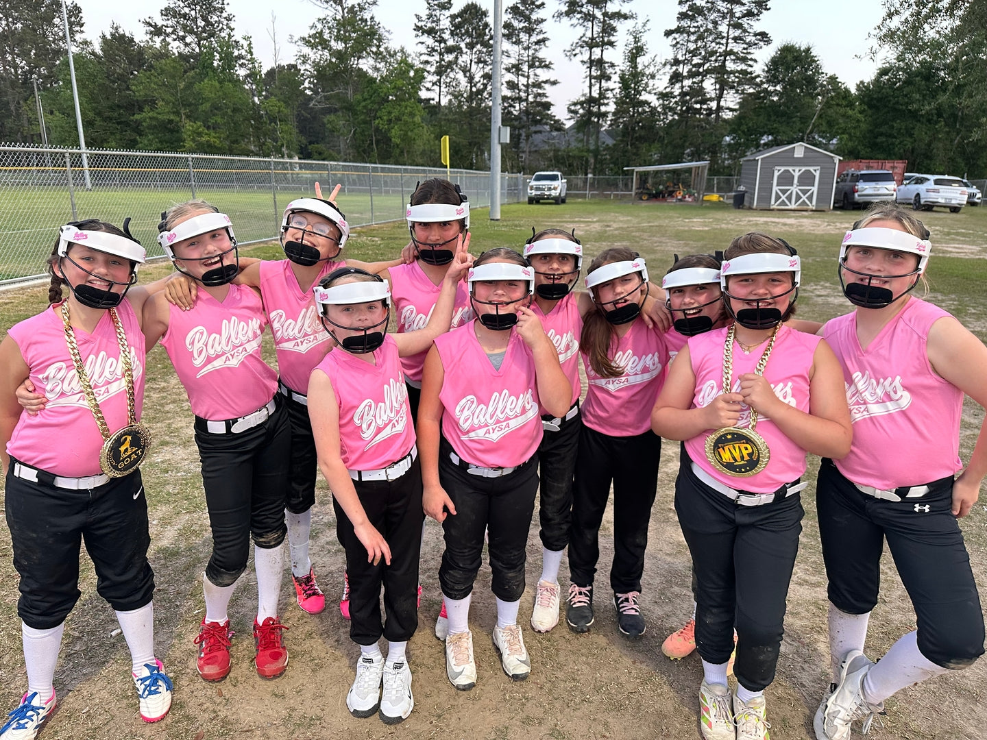 NEO Softball Fielder's Mask - Team Orders